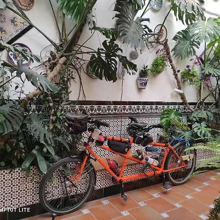 Arcos Guest house Cordoba