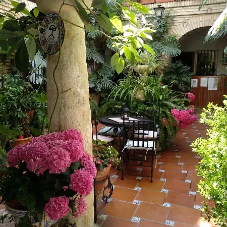 Los Arcos Konukevi *