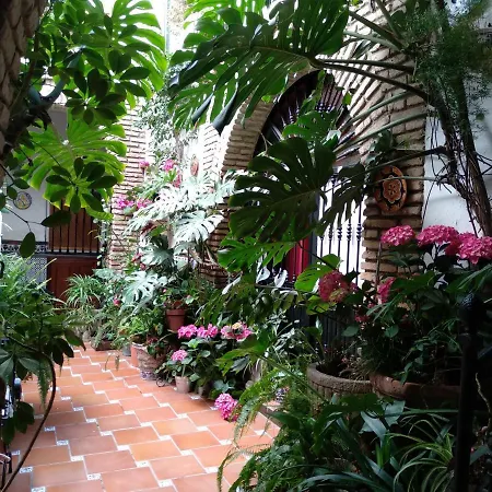 Arcos Guest house Cordoba